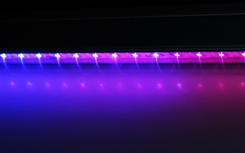 LED Full Color Tube Light